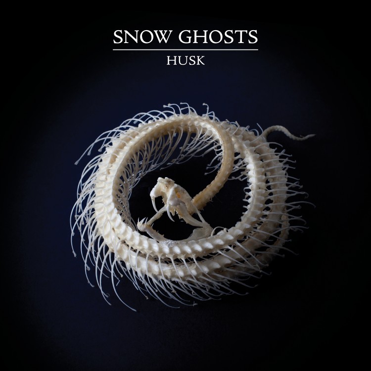 Snow Ghosts - Limited bespoke clear vinyl